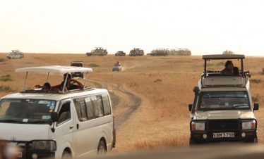 Exciting Masai Mara Package!
